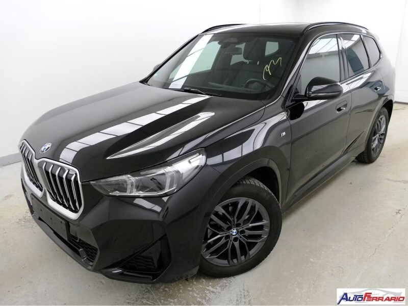 BMW X1            (U11)